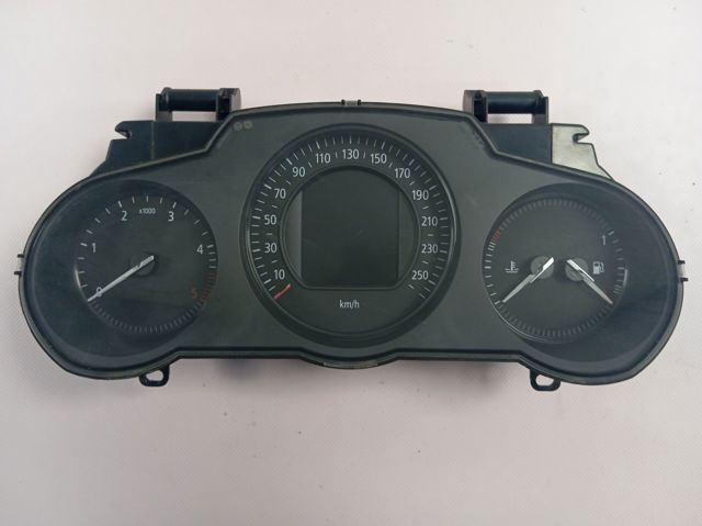 Приборная доска Renault (RVI) 248101840R