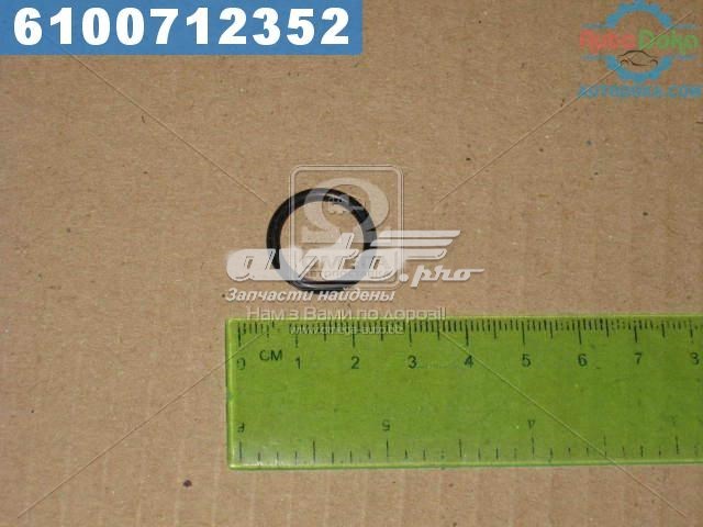 Уплотнитель форсунок Hyundai/Kia 1710015000 цена, от 0.31 USD