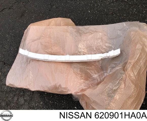  620901HA0A Nissan