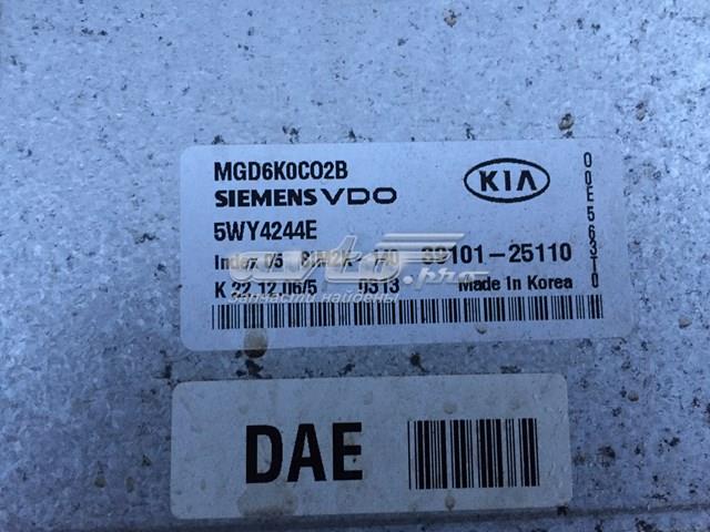  Hyundai/Kia 3910125110