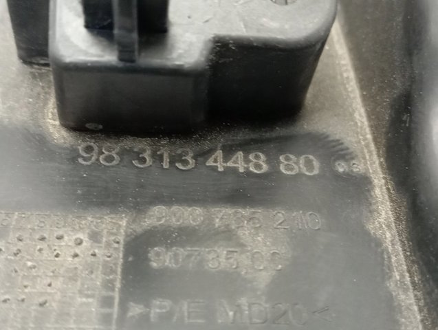 9831344880 Peugeot/Citroen 