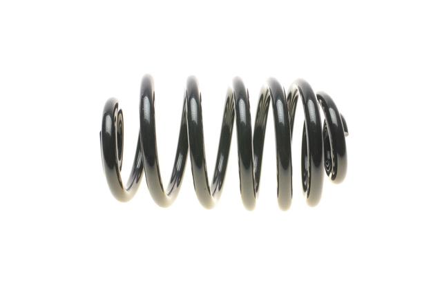 Пружина задняя Solgy 212038