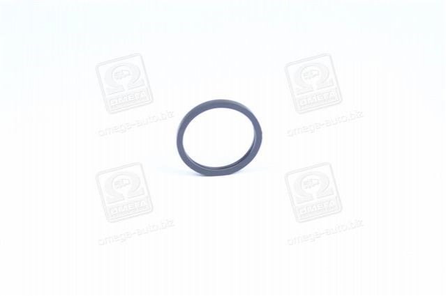 Прокладка корпуса термостата Parts-Mall P1EC003