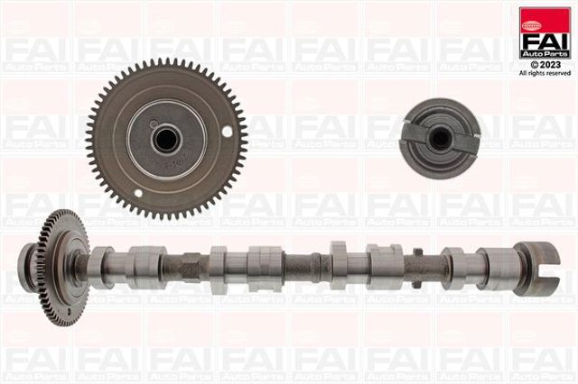 C529 FAI árvore distribuidora de motor