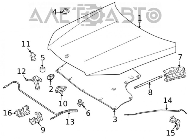 Pára-choque (grade de proteção) da capota para Mercedes A (W176)