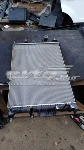 Радиатор DG938005 Ford