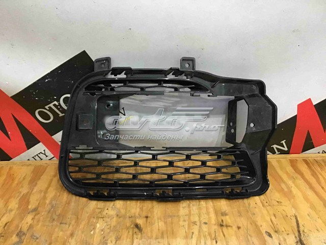 Заглушка ПТФ бампера переднего левая Land Rover LR045034 цена, от 18.53 USD