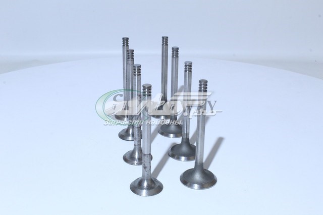 Клапаны двигателя, комплект Lada 2108100701086 цена, от 31.23 USD