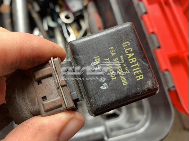 9609955680 Peugeot/Citroen 