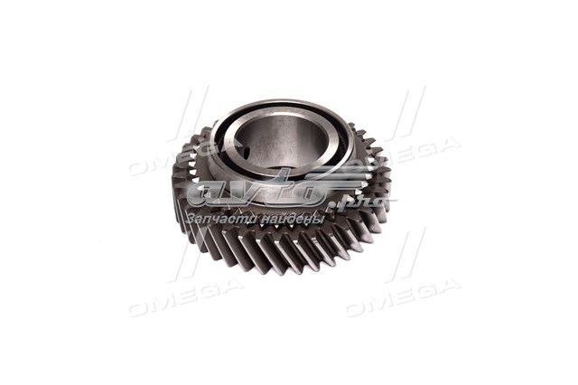  Rider 310291701122 цена, от 28.74 USD