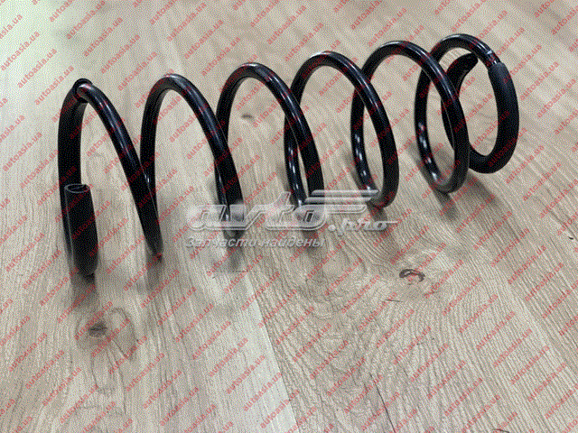 Передняя пружина J692902011 Chery