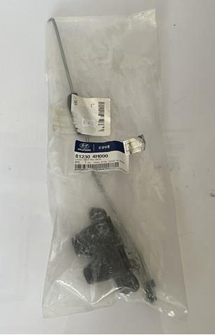 812304H000 Hyundai/Kia Замок пятой двери