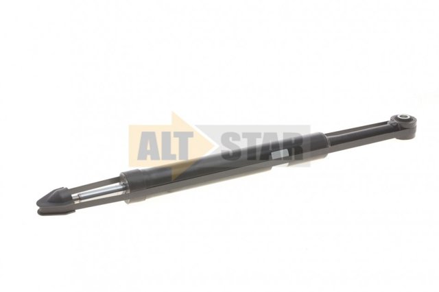 Амортизатор задний RS267722 Raiso
