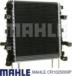 Радиатор охлаждения двигателя дополнительный Mahle Original CR1025000P