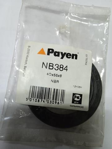 Сальник распредвала двигателя Payen NB384
