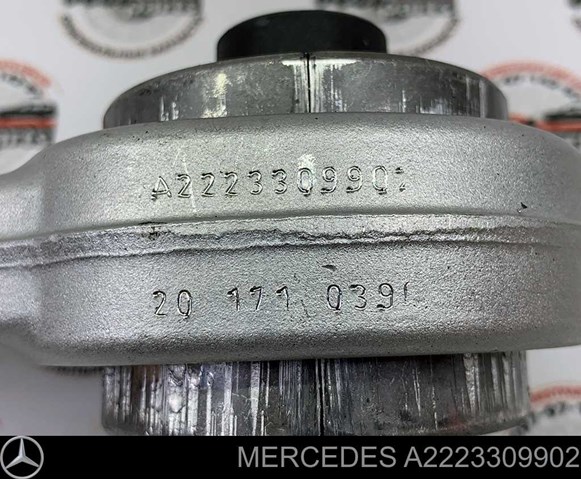  Mercedes A2223309902