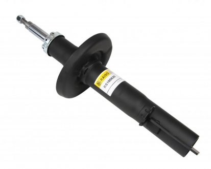RS100620 Raiso Стойка передняя