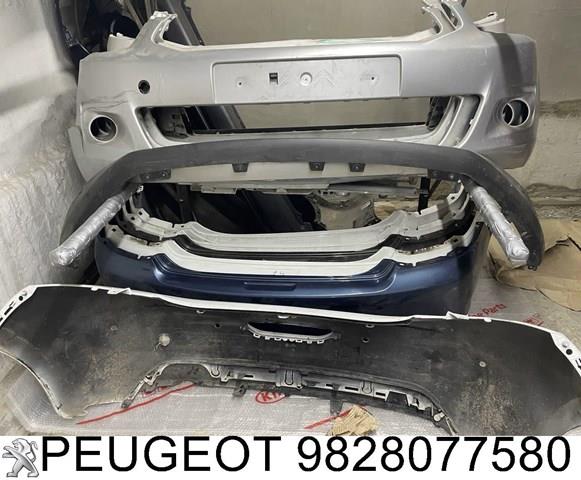  9828077580 Peugeot/Citroen