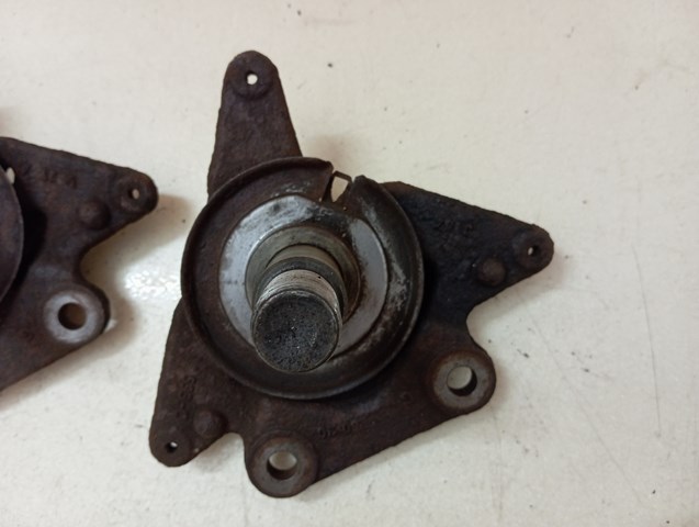 Цапфа - поворотный кулак задний, левый Renault (RVI) 400150046R цена, от 10.91 USD
