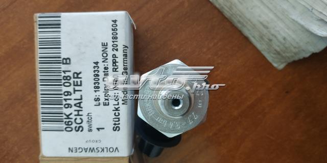 Манометри (показник тиску масла) 06K919081B VAG