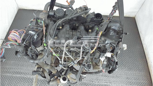 PSA9H01 Peugeot/Citroen 