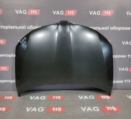 FP6416280 FPS Капот
