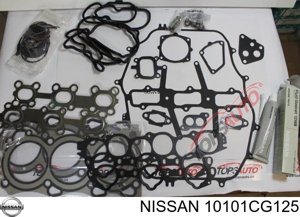 Комплект прокладок двигателя полный Nissan 10101CG125