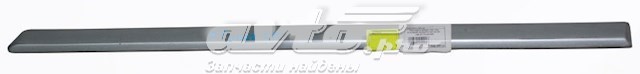Moldura da porta traseira esquerda para Hyundai Sonata (NF)