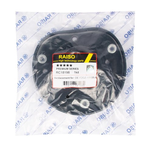 RC18198 Raiso Подшипник верхней опоры