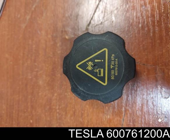  600761200A Tesla