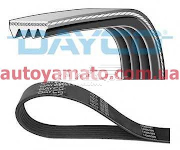4PK880 Dayco correia dos conjuntos de transmissão