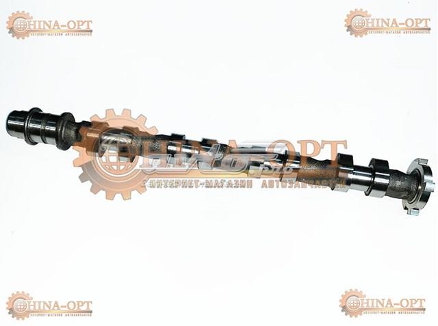  473F1006010BA Chery