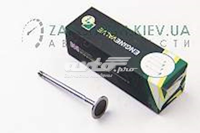 Впускной клапан V165060 BGA