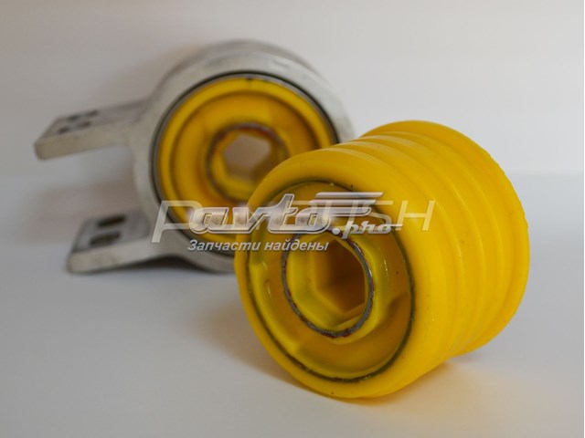 020707 Polybush 