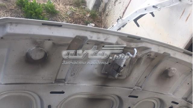 Capó delantero 7901G0 PEUGEOT