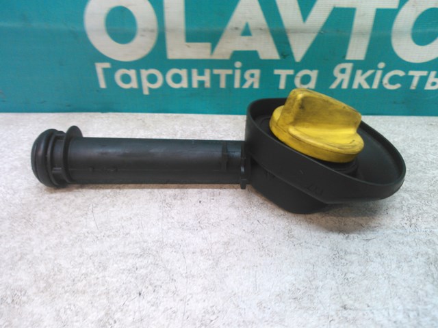  1183100Q0B Renault (RVI)