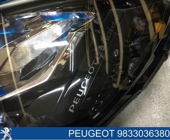 Купить 90200109 Peugeot/Citroen 