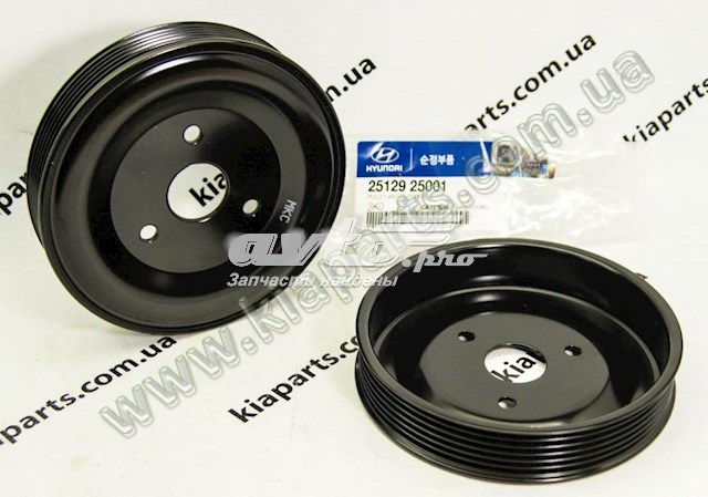 Polia da bomba de água para KIA Magentis II GE