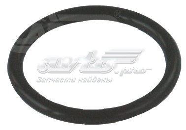  Cargo 250087 цена, от 0.47 USD