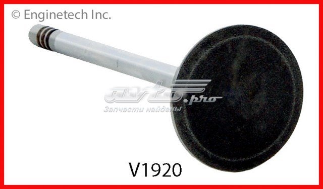 V1920 Enginetech Впускной клапан