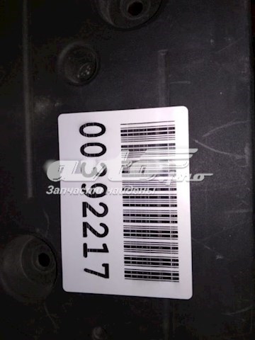 Панель крепления номерного знака, переднего BMW 51117279708