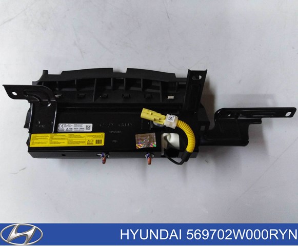  Hyundai/Kia 569702W000RYN цена, от 154.80 USD