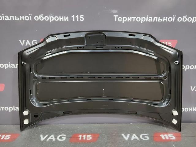 Капот FP7406280 FPS