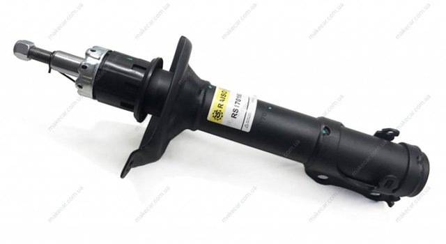Амортизаторы передние Raiso RS170160
