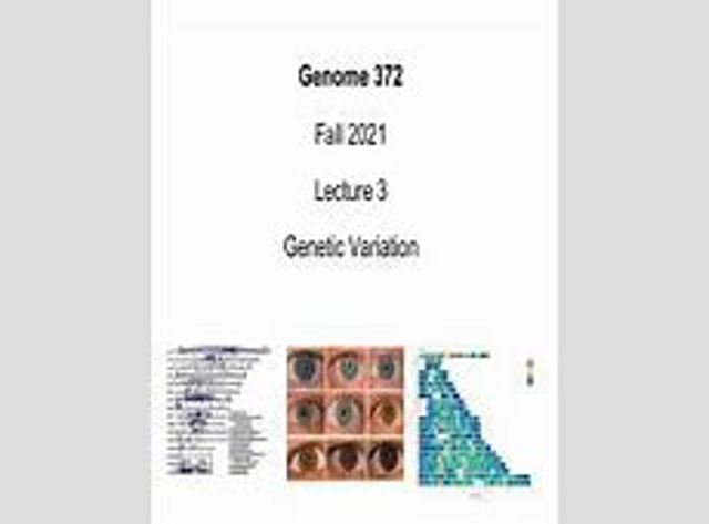 Vidro da porta traseira direita Mitsubishi Pajero SPORT I K90