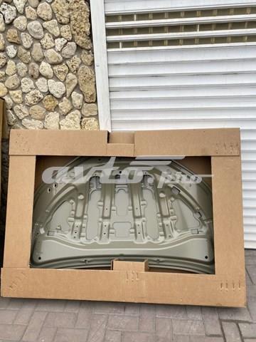 APTY2903 Amparts Капот