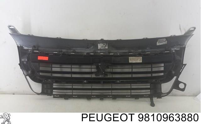 9810963880 Peugeot/Citroen 