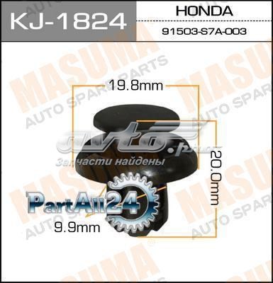 KJ1824 Masuma 