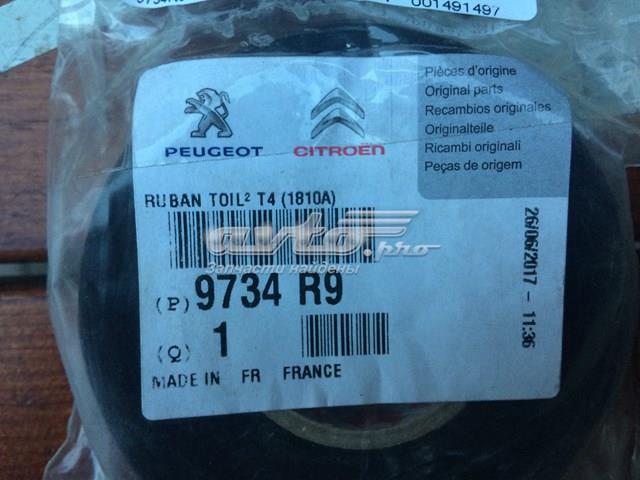  9734R9 Peugeot/Citroen