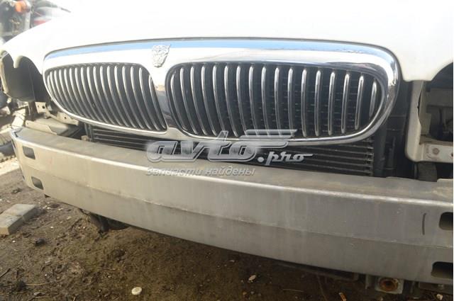 C2S10796 Jaguar 